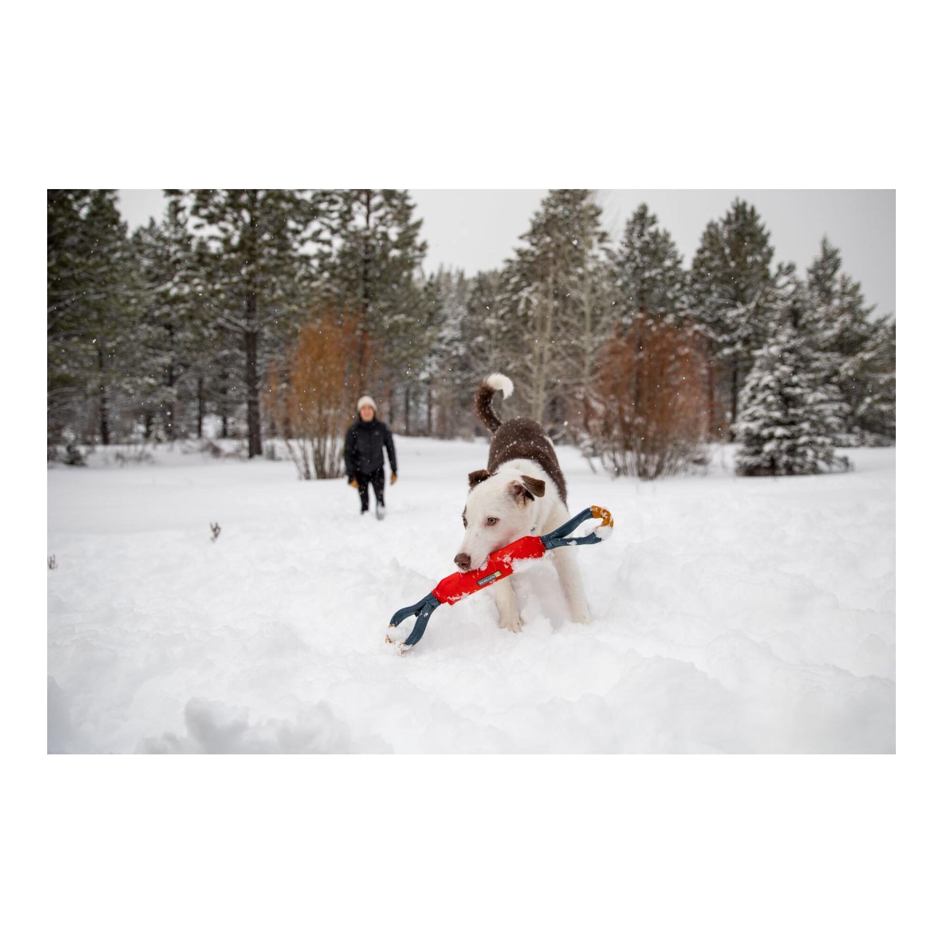 Ruffwear Pacific Loop™ Jouet pour chiens