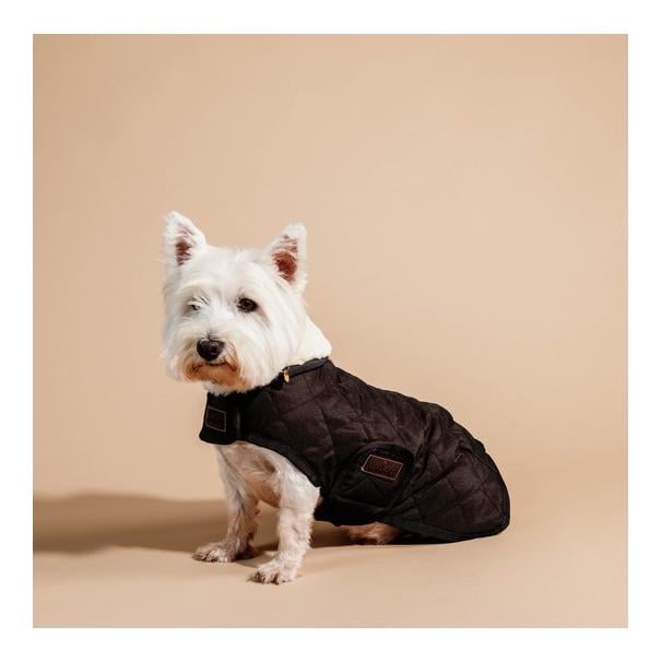 Hundemantel Original - brown