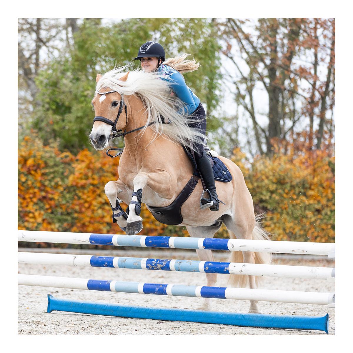 Stepp-Mix-Jacke "Crazy Connection"