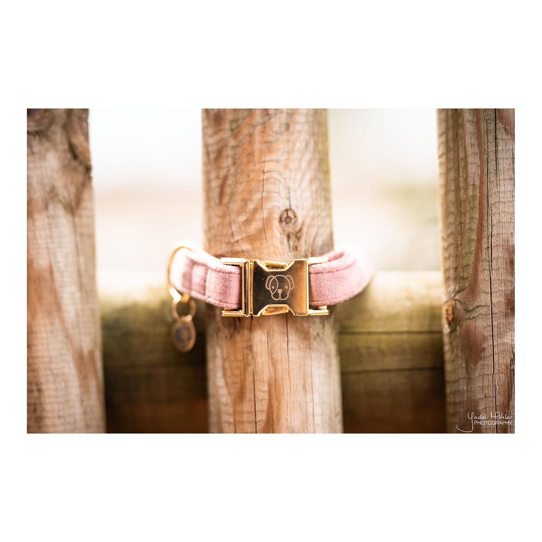 Hundehalsband velvet - old rose