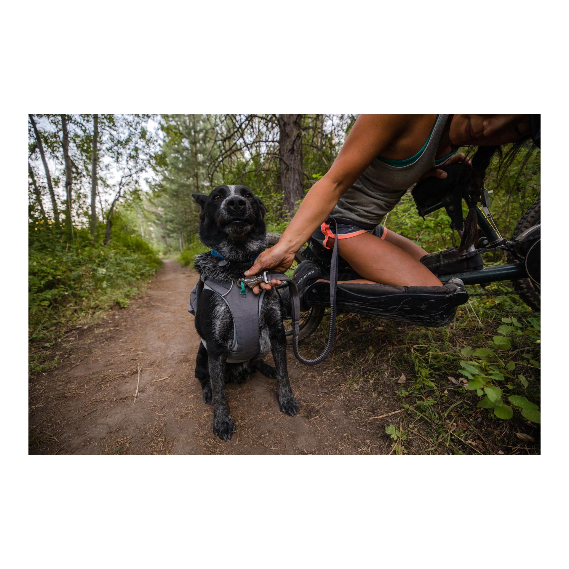 Joggingleine Roamer™ Leash Hundeleine - granite gray