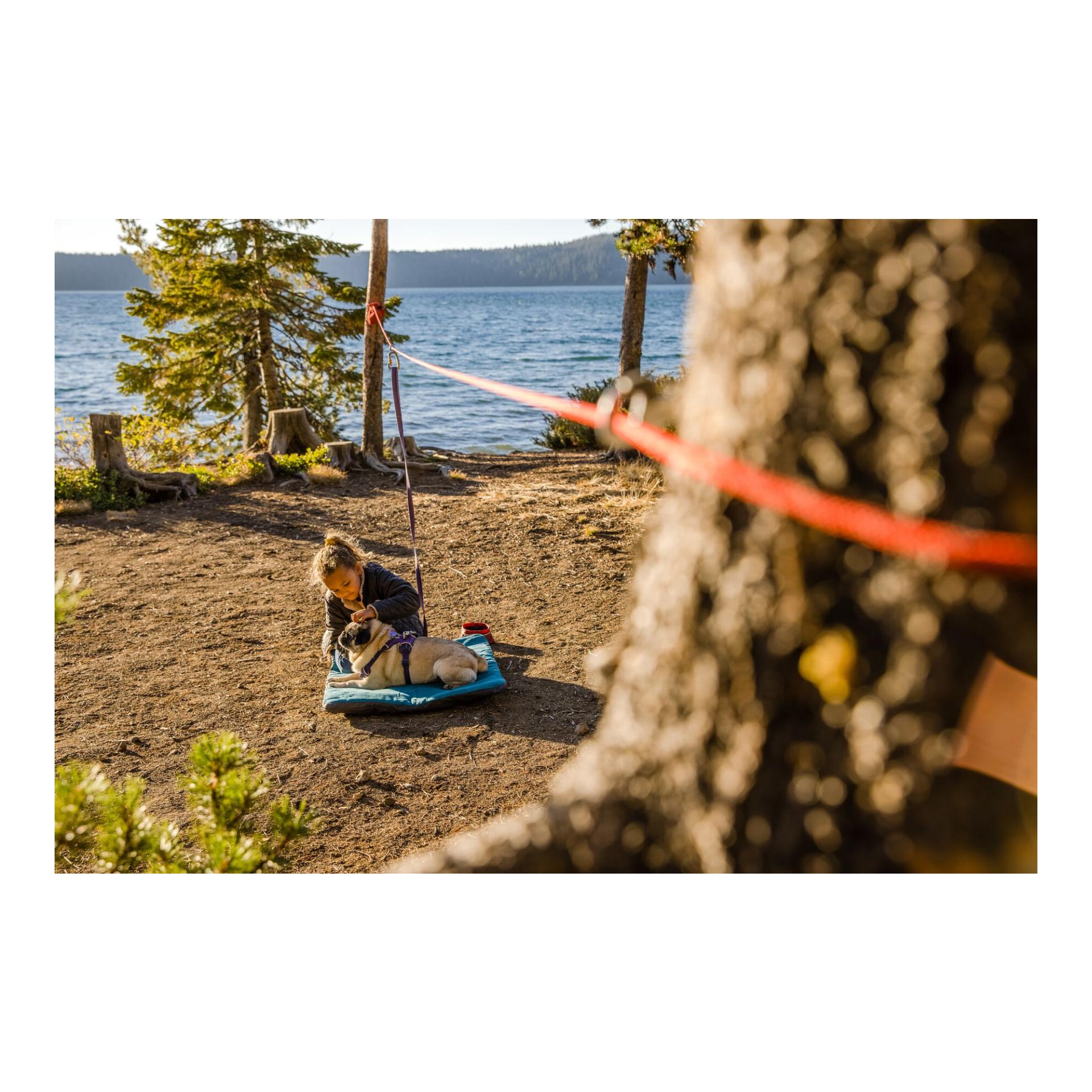 Ruffwear Knot-a-Hitch™ - Hund Hitching System