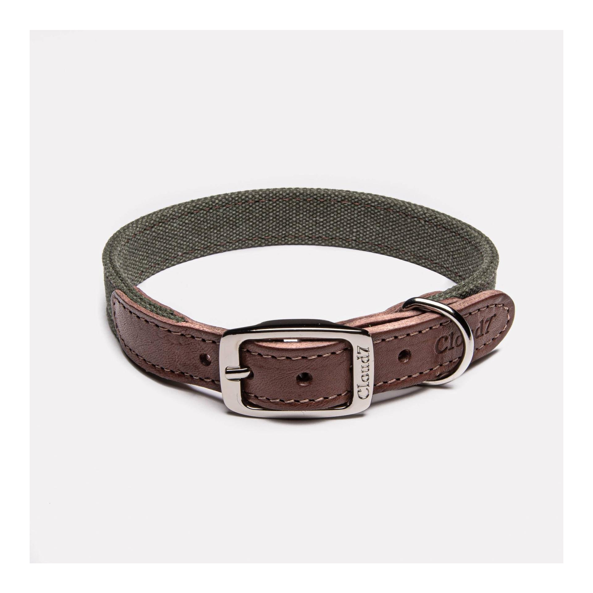 Collier pour chien Tivoli - olive