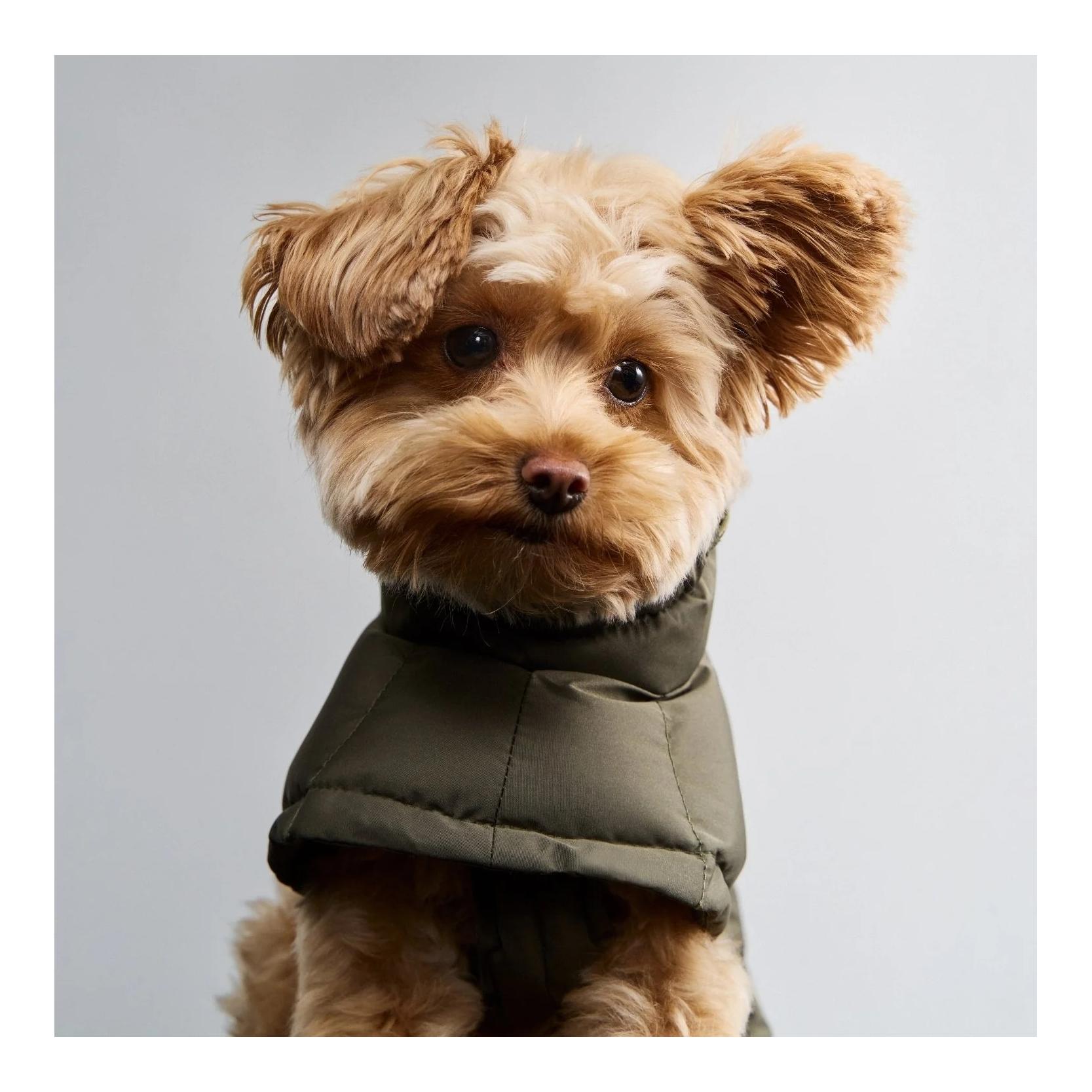 Winter Hundemantel Everest Regular