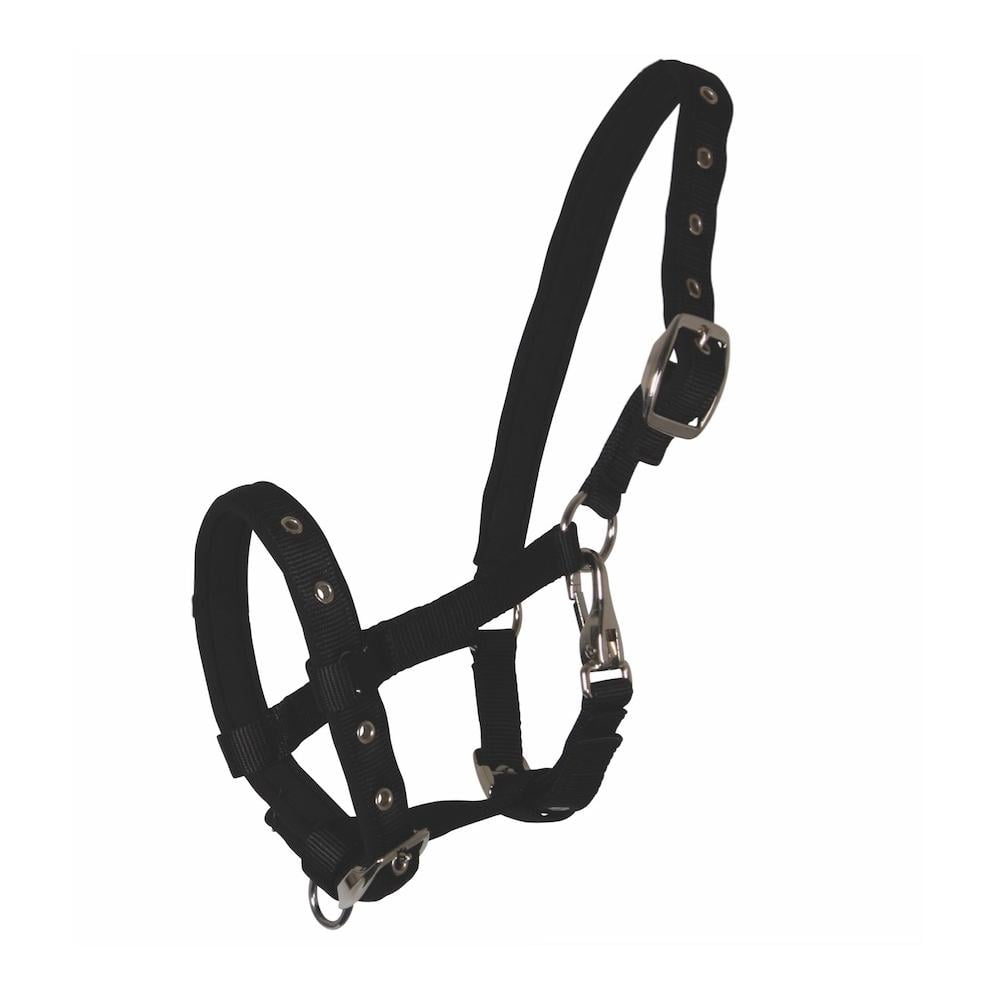 Fohlenhalfter Comfort - schwarz