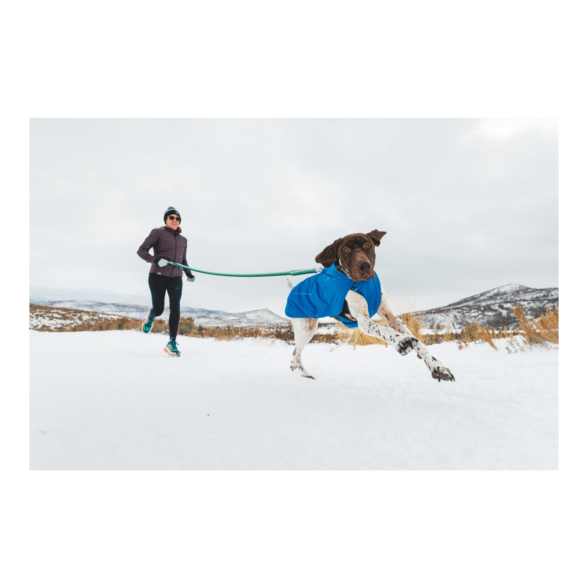 Hundemantel Vert Jacket