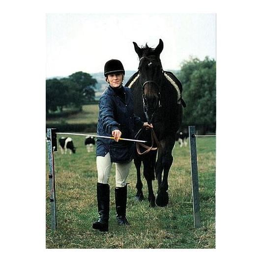 Weidezaun-Torwächter Set