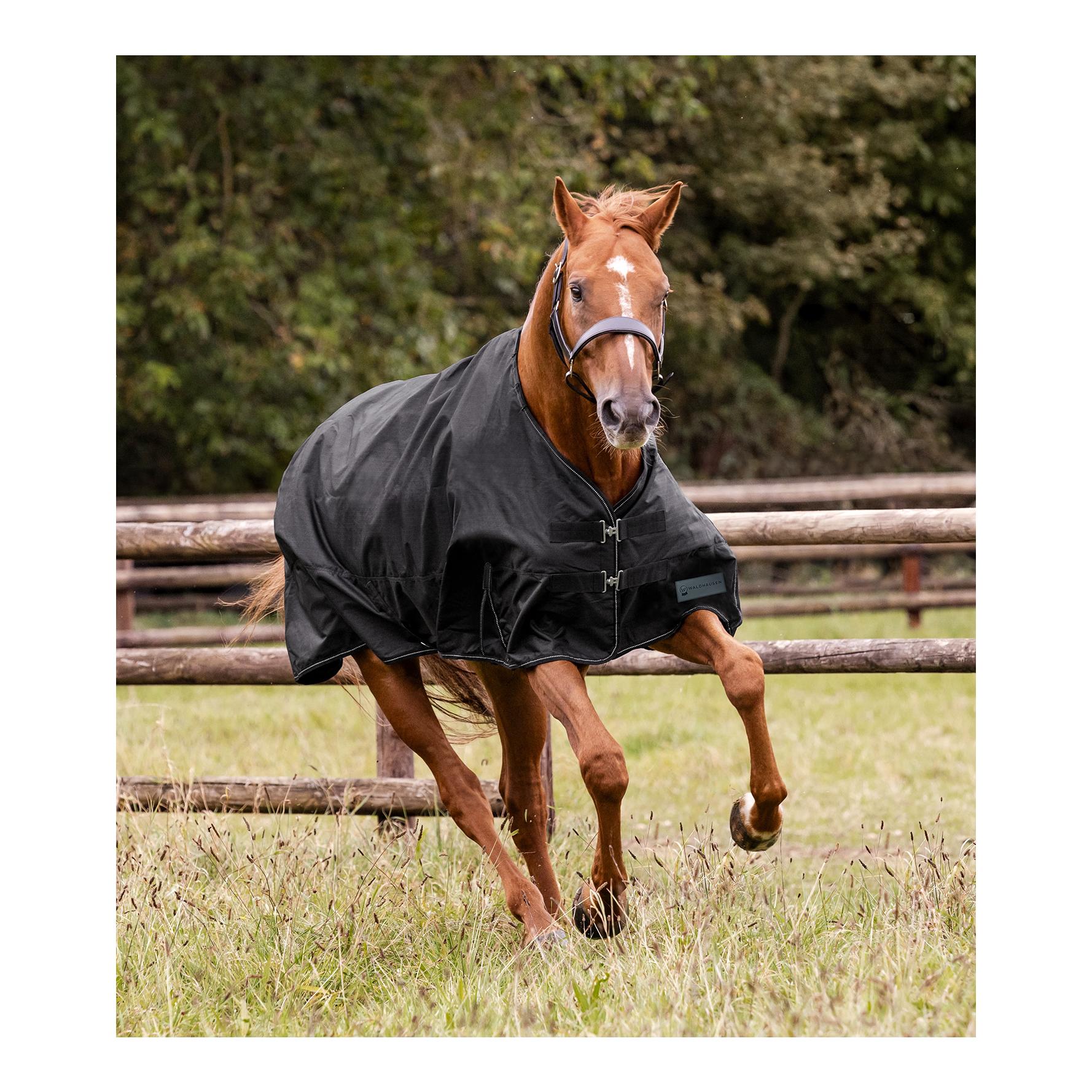 Weidedecke Nordic 100g