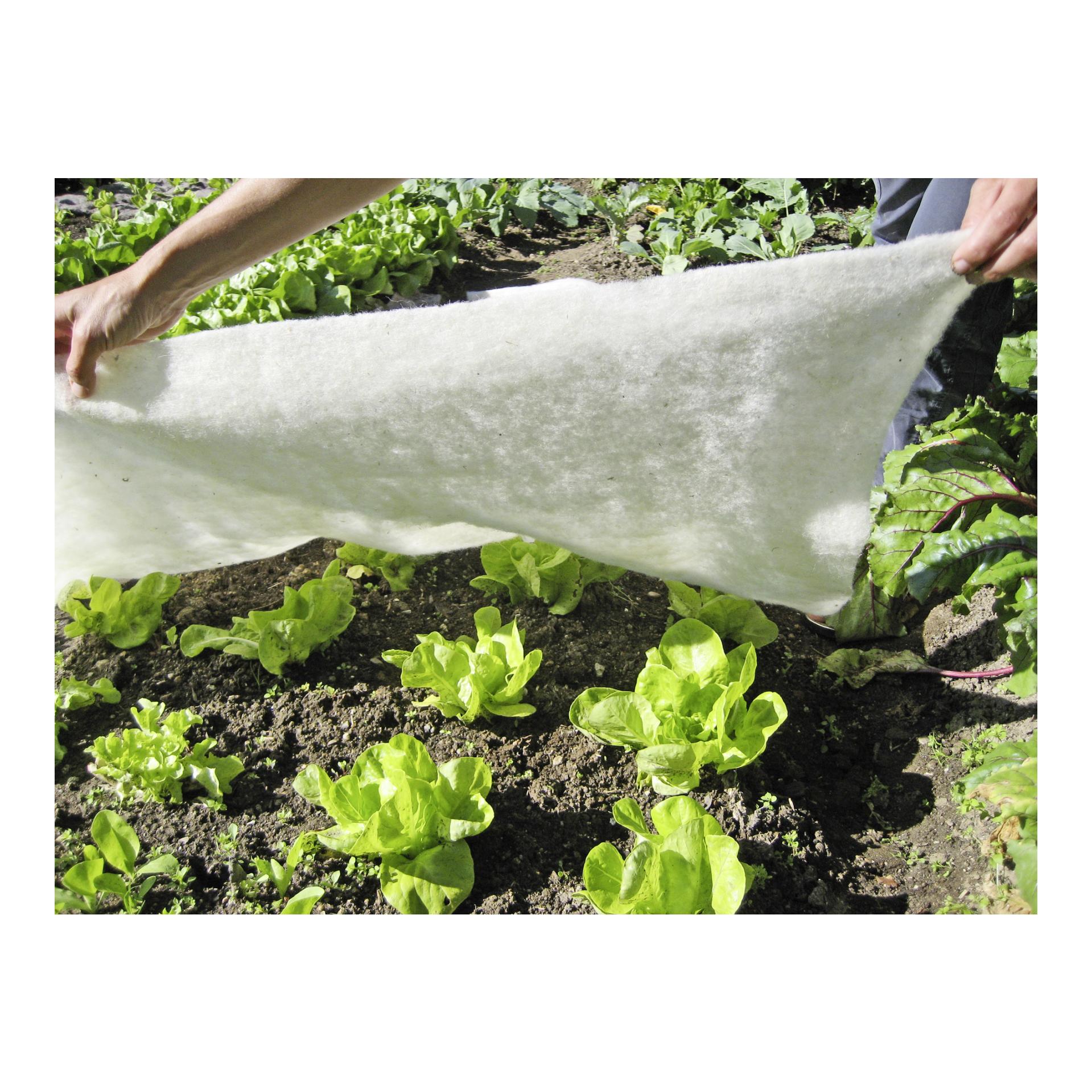 Schafwoll-Wachstumsmatte Greenline