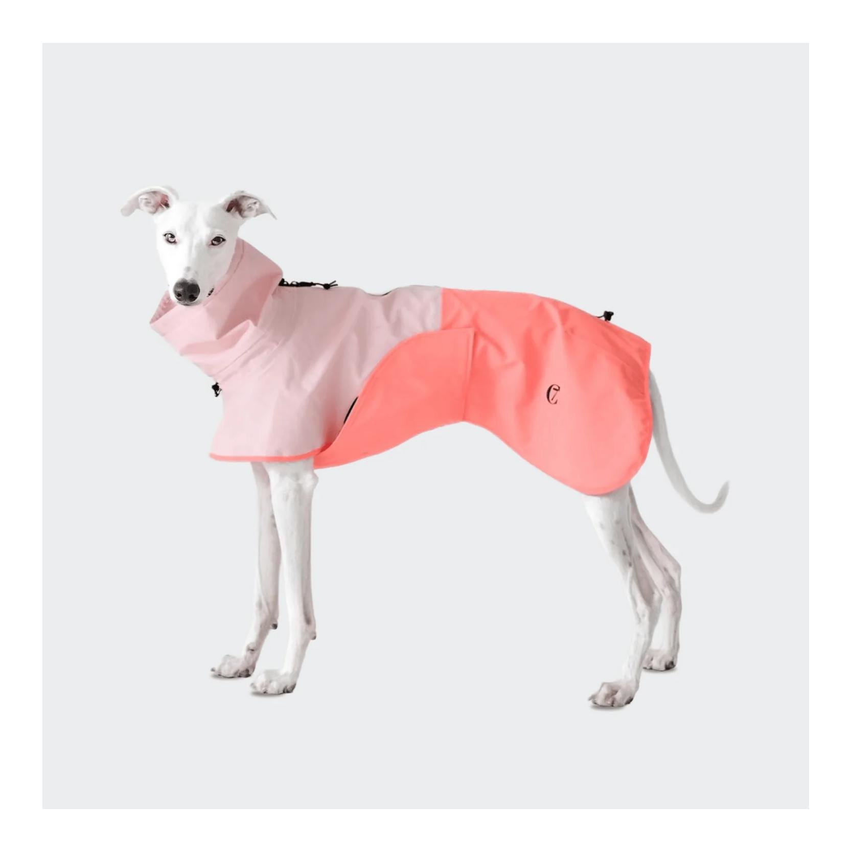 Hunderegenmantel Aktiv