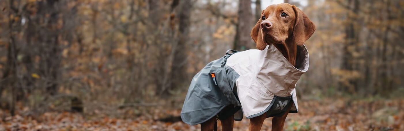 HP-Hund-Regenmantel-1400x456