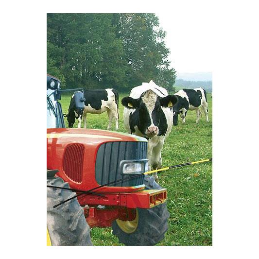 Weidezaun-Torwächter Set