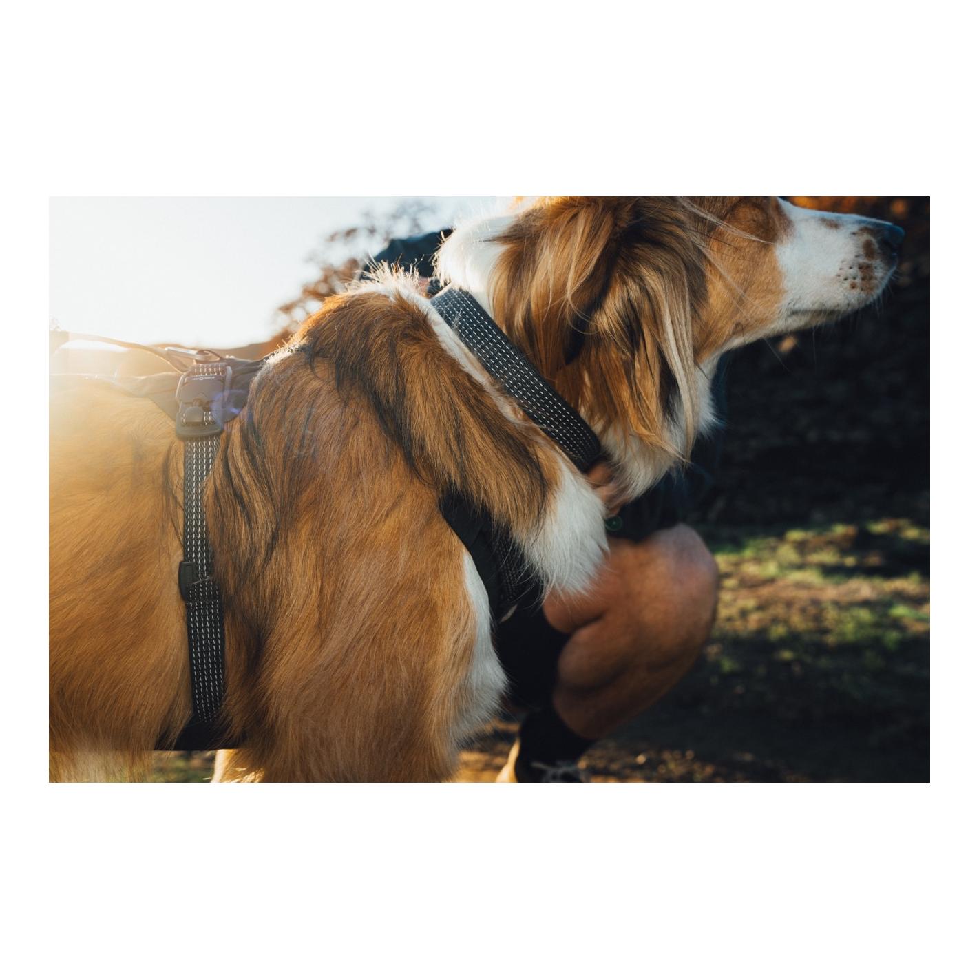 Ruffwear Ridgeline™ Hundehalsband
