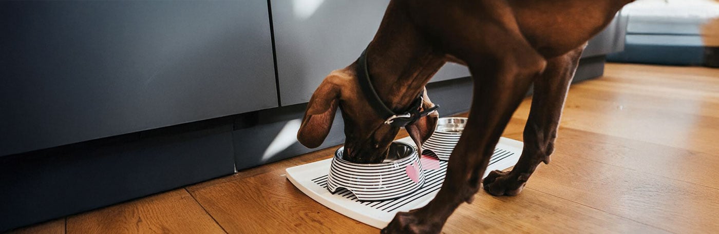 Hauptner-VET-Futtermittel_zuasetze2