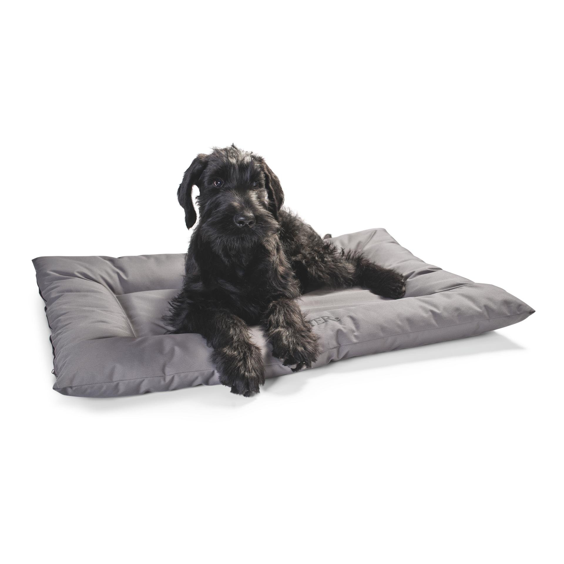 Hundebett Gent Antibakteriell