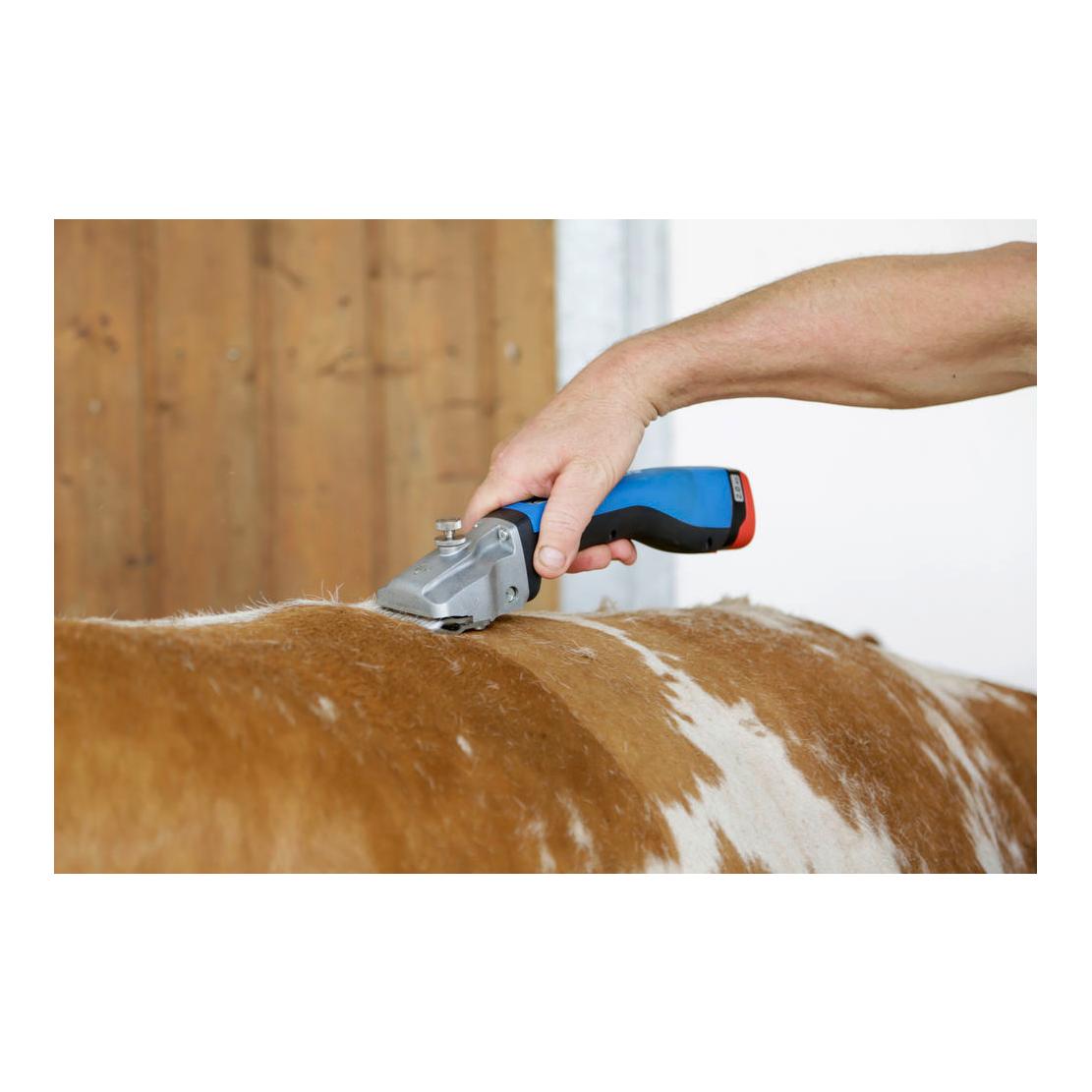 Akkuschermaschine Bonum Rind inkl. 1 Akku - blau