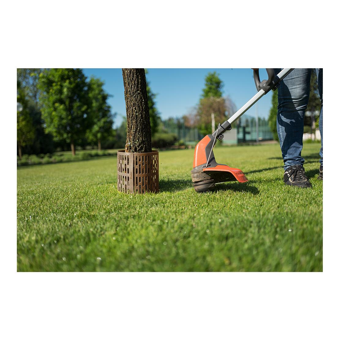 Bradas Protection pour tronc d’arbre TreeSave