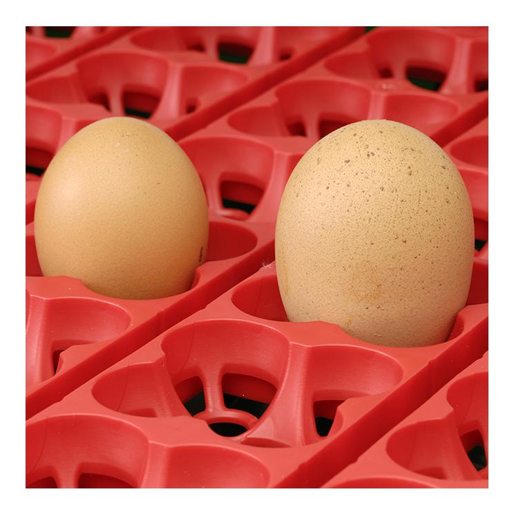 Automatische Brutmaschine für Eier ET12 Biomaster mit Eierwender