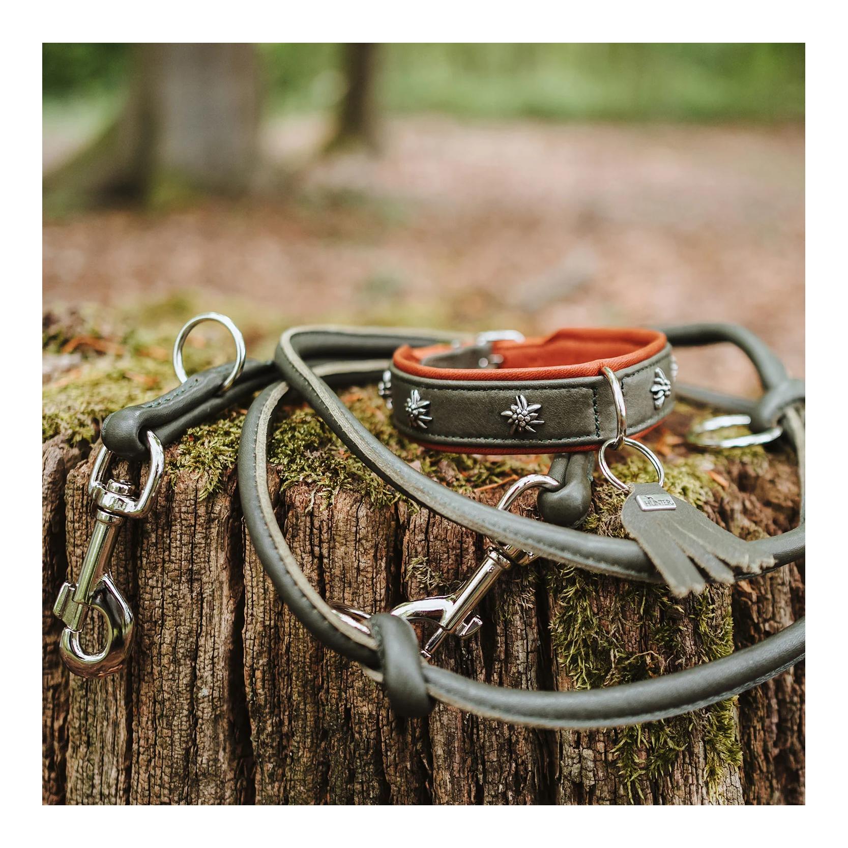 Verstellbare Hundeleine München