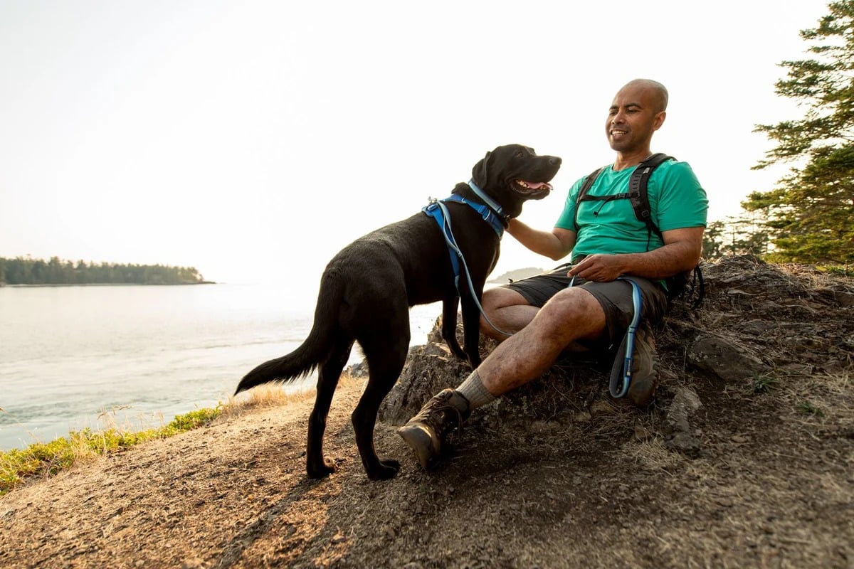 Ruffwear Front Range™ Collier de chien 