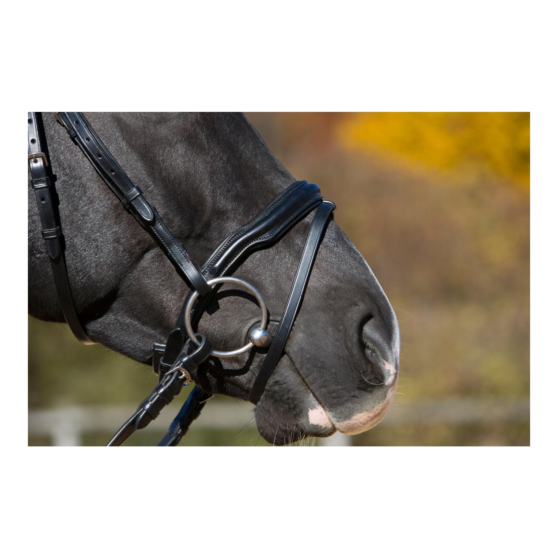 Black Friday !! Bride Melina - noir