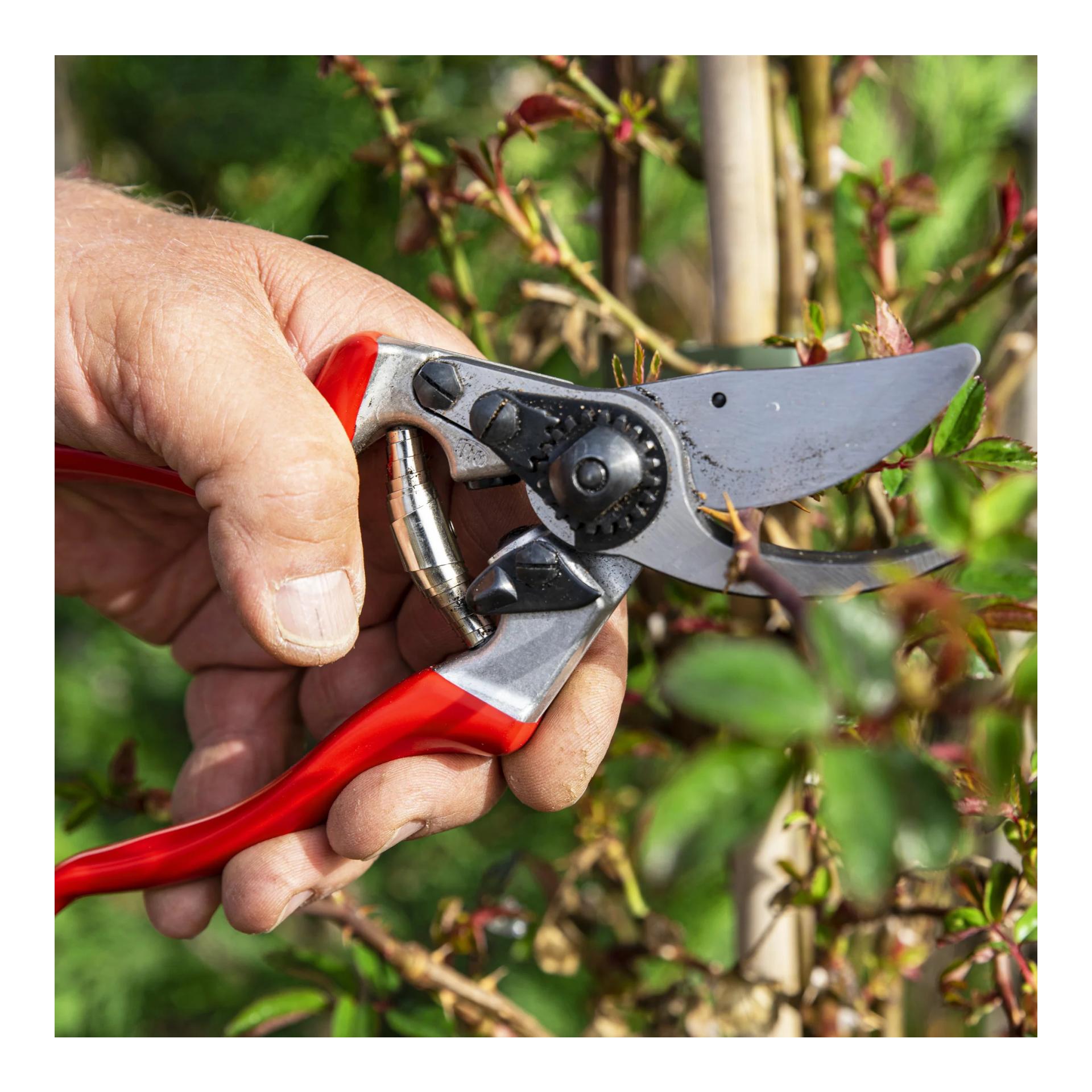 FELCO 9 Baum-, Reb- und Gartenschere