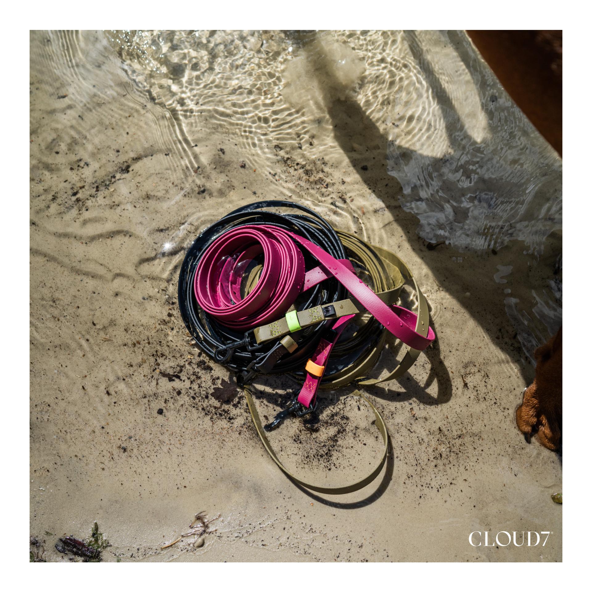 Collier de chien Biothane Ipanema