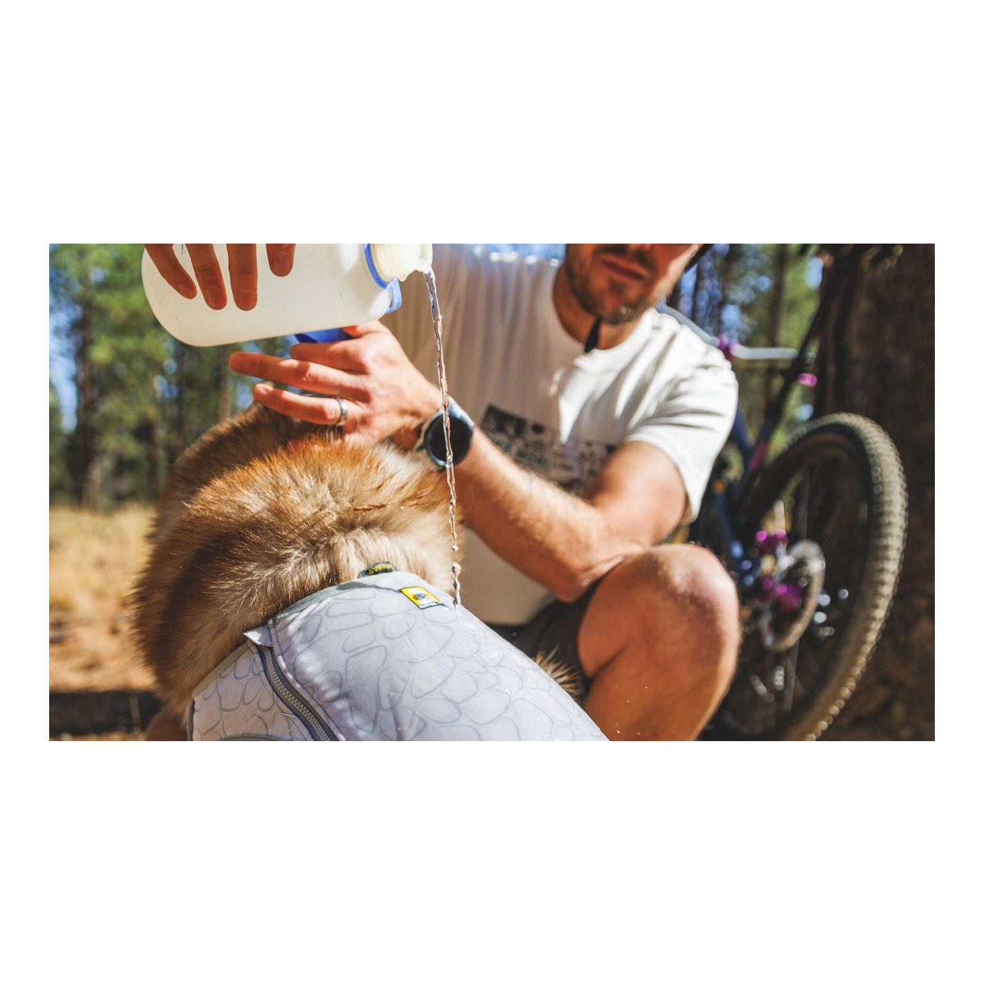 Kühlende Hundeweste Swamp Cooler Zip