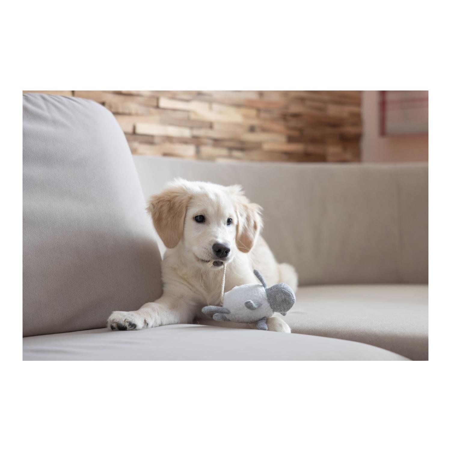 Welpenspielzeug Hase