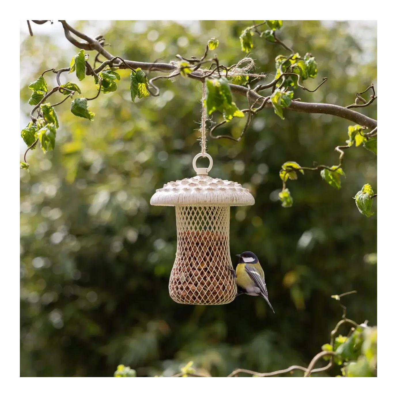 Futterstelle Riesenschirmpilz