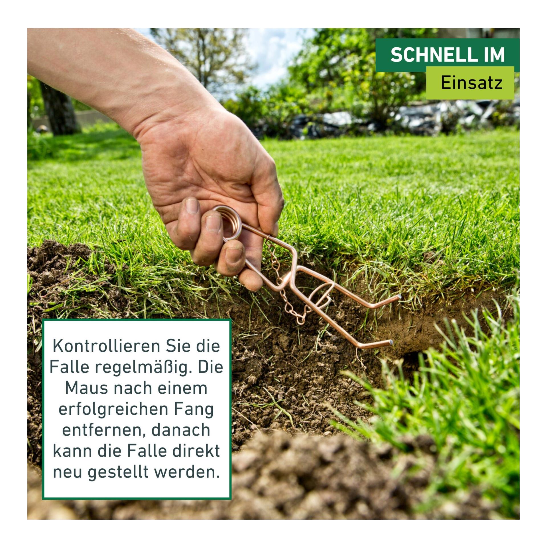 Windhager Wühlmausfalle Standard
