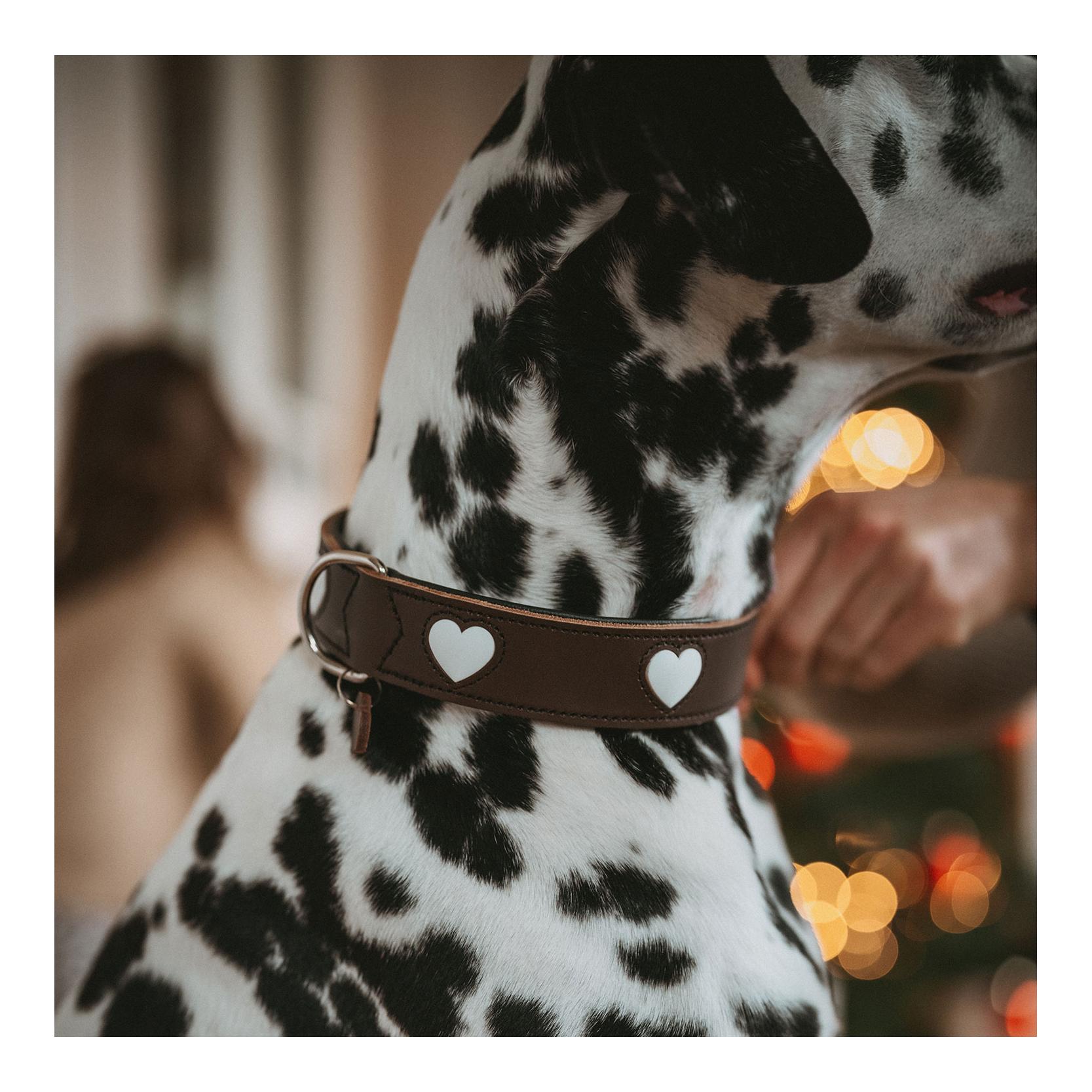 Hunter Halsband Love 