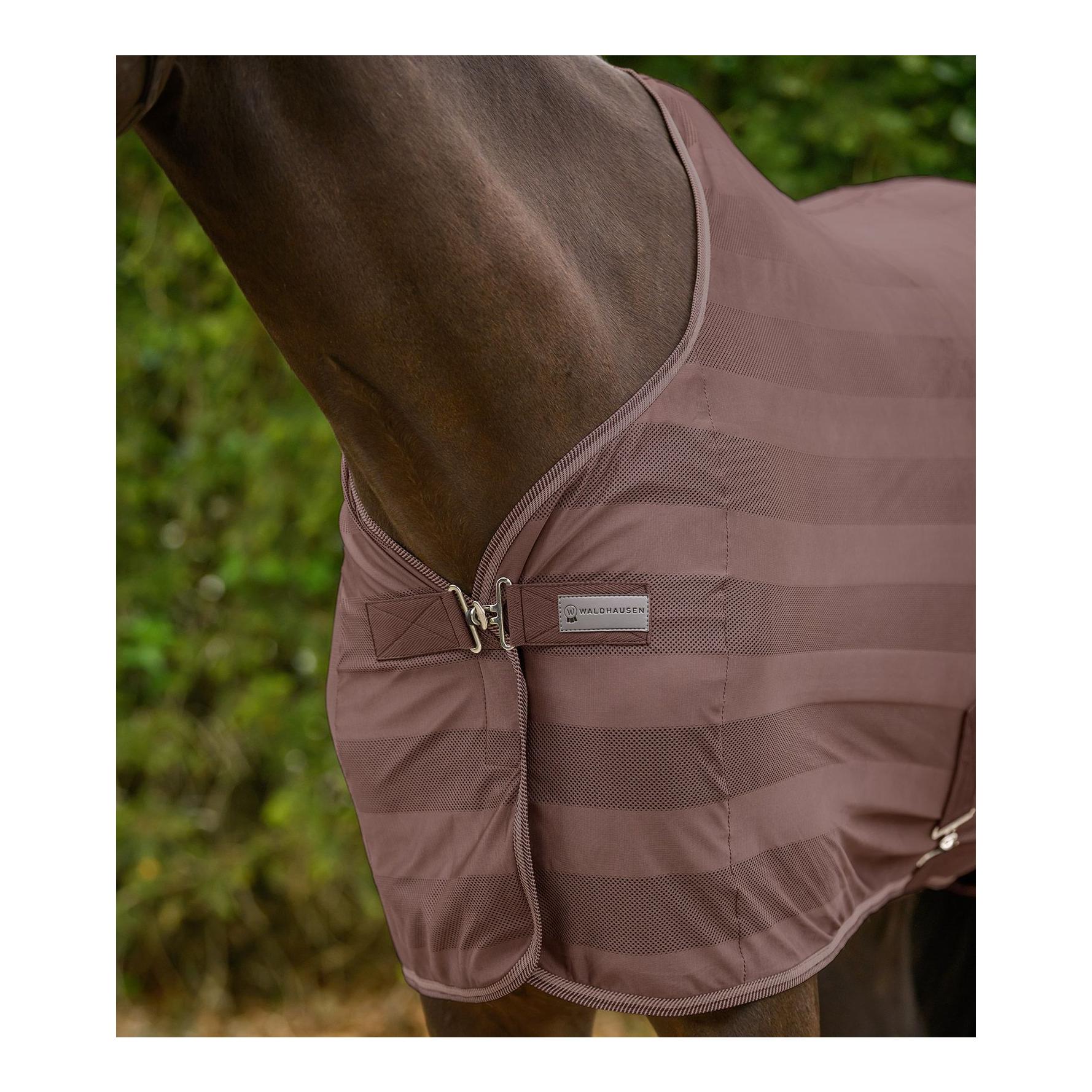 Waldhausen Fliegendecke Economic Kreuzbegurtung