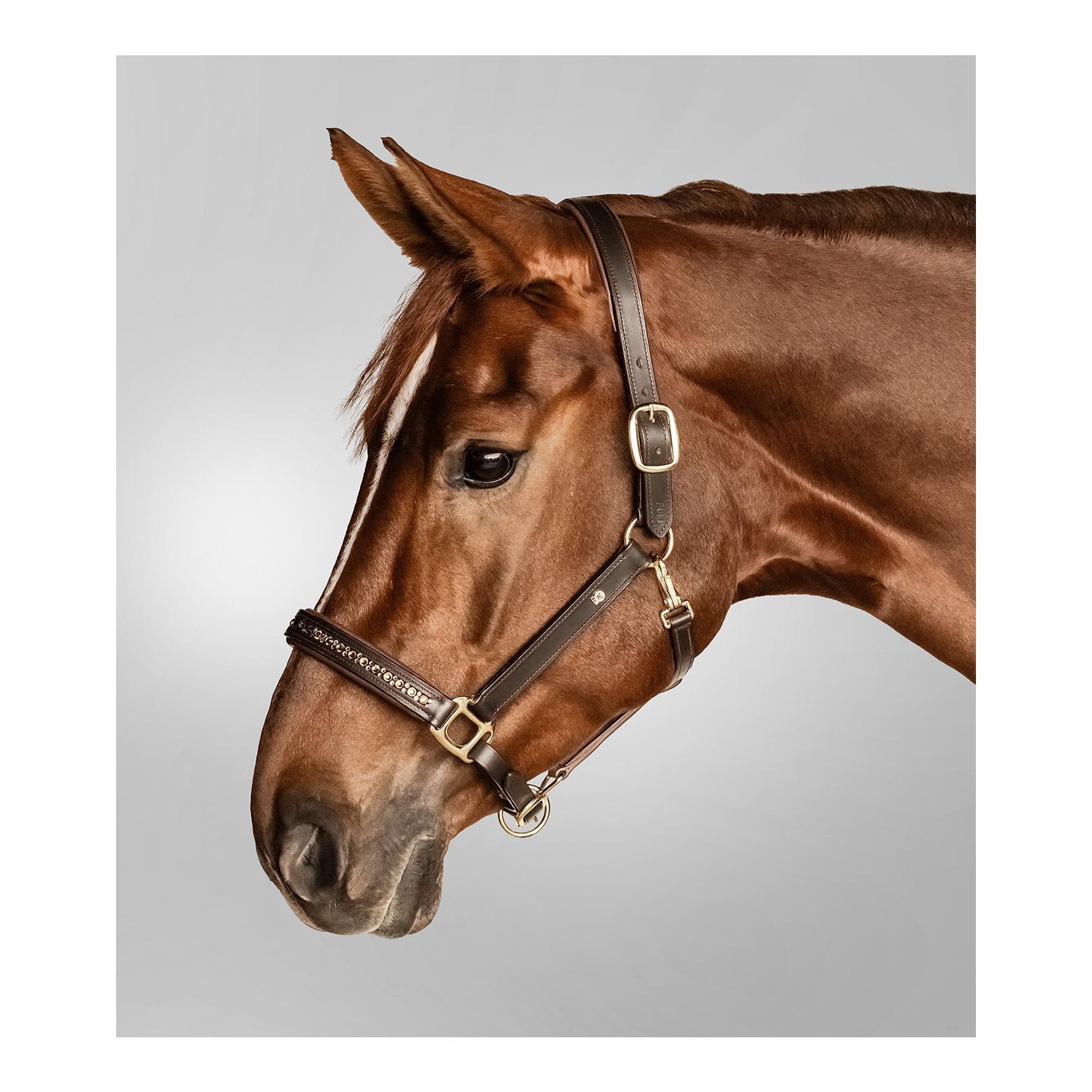 Lederhalfter Crystal