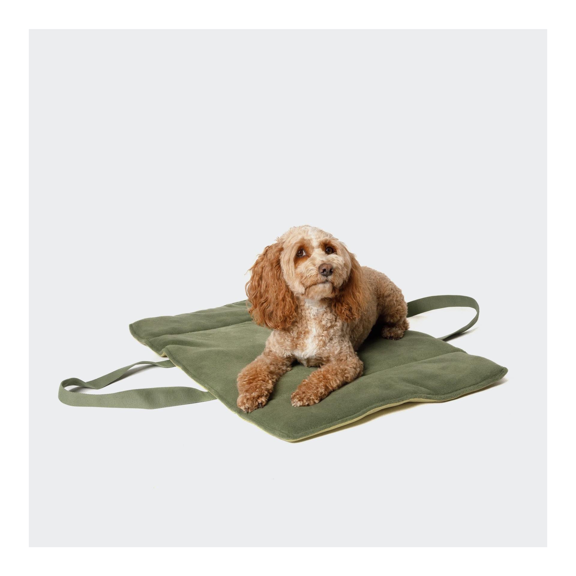 Lit de voyage pour chiens Hydrofuge