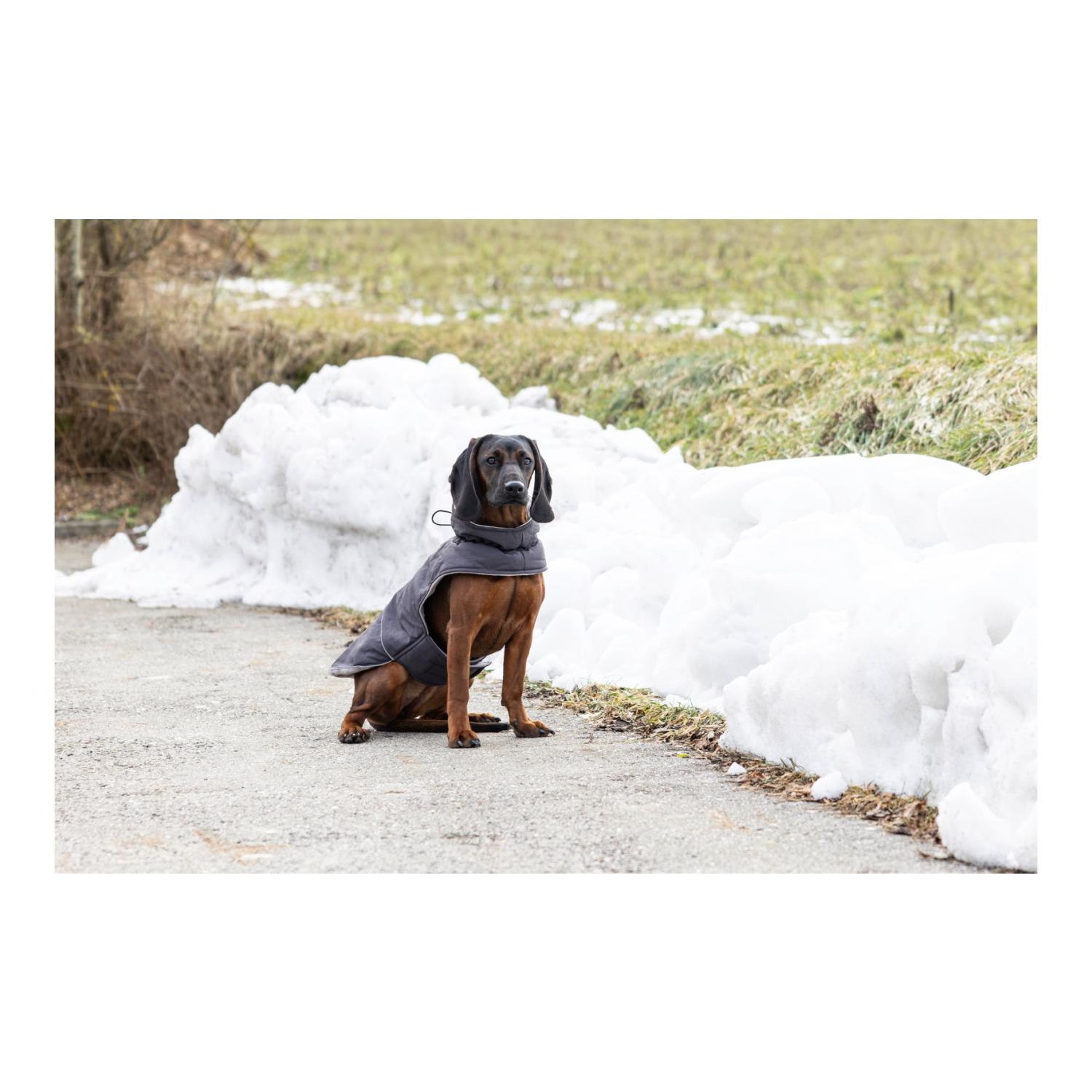 Hundemantel Montreal