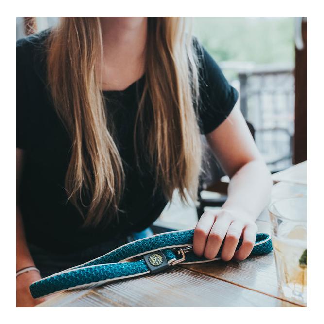 Laisse réglable Hilo - marron