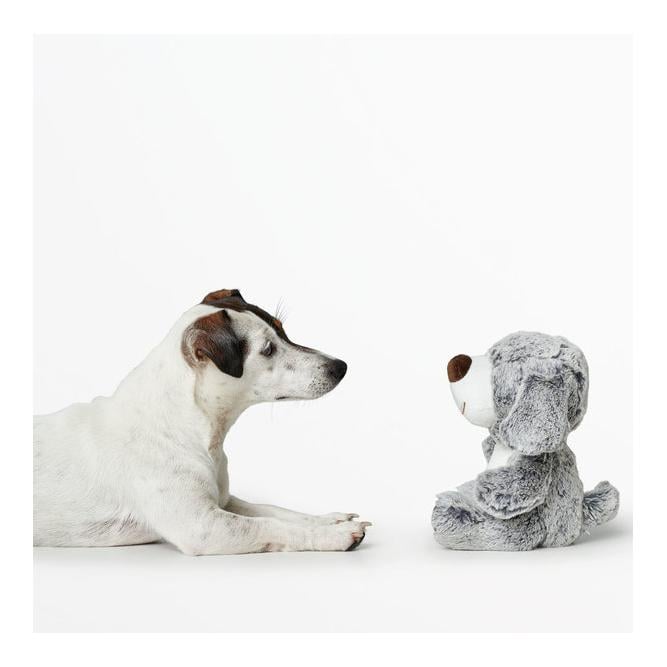 Hundespielzeug Faro - Hund