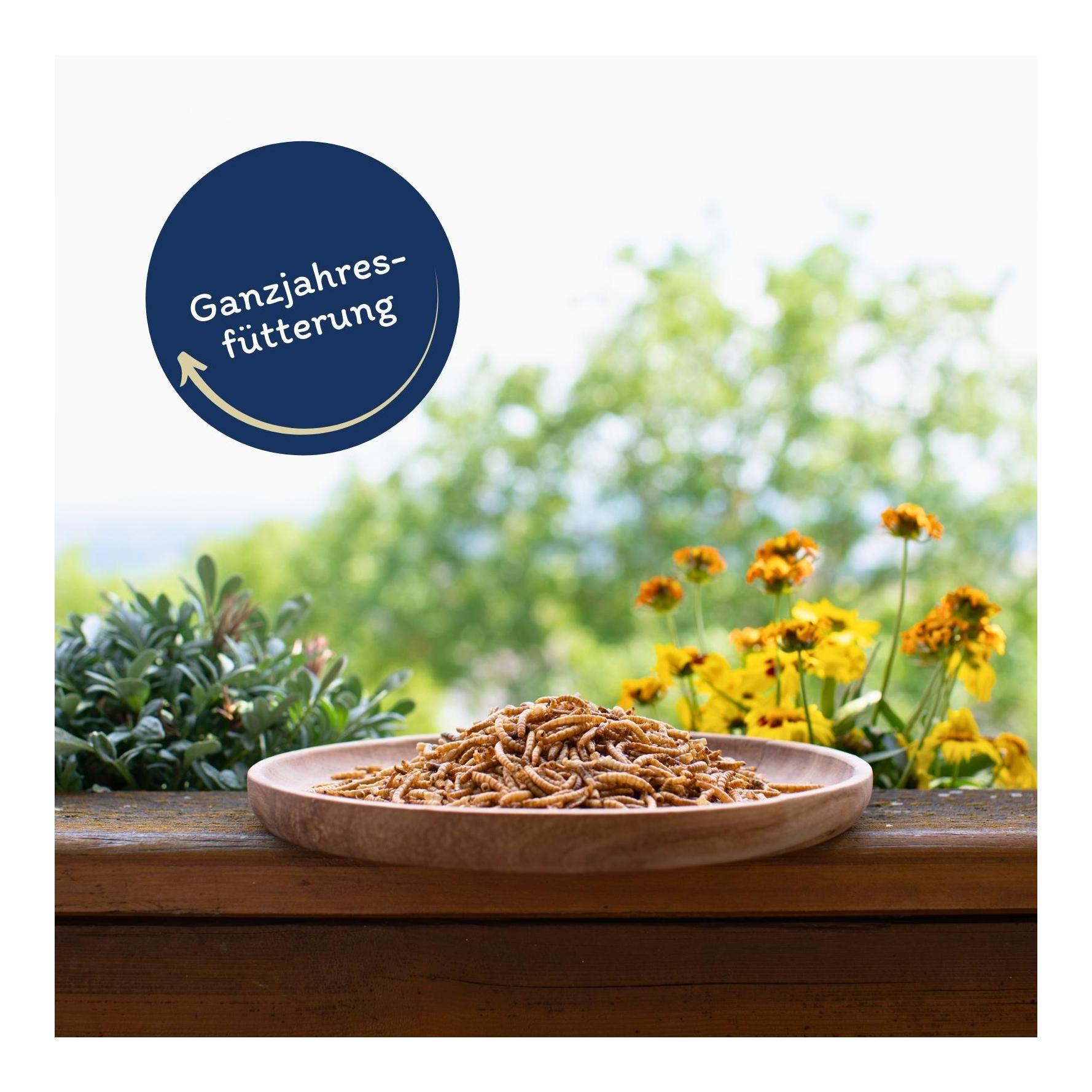 Mehlwürmer getrocknet