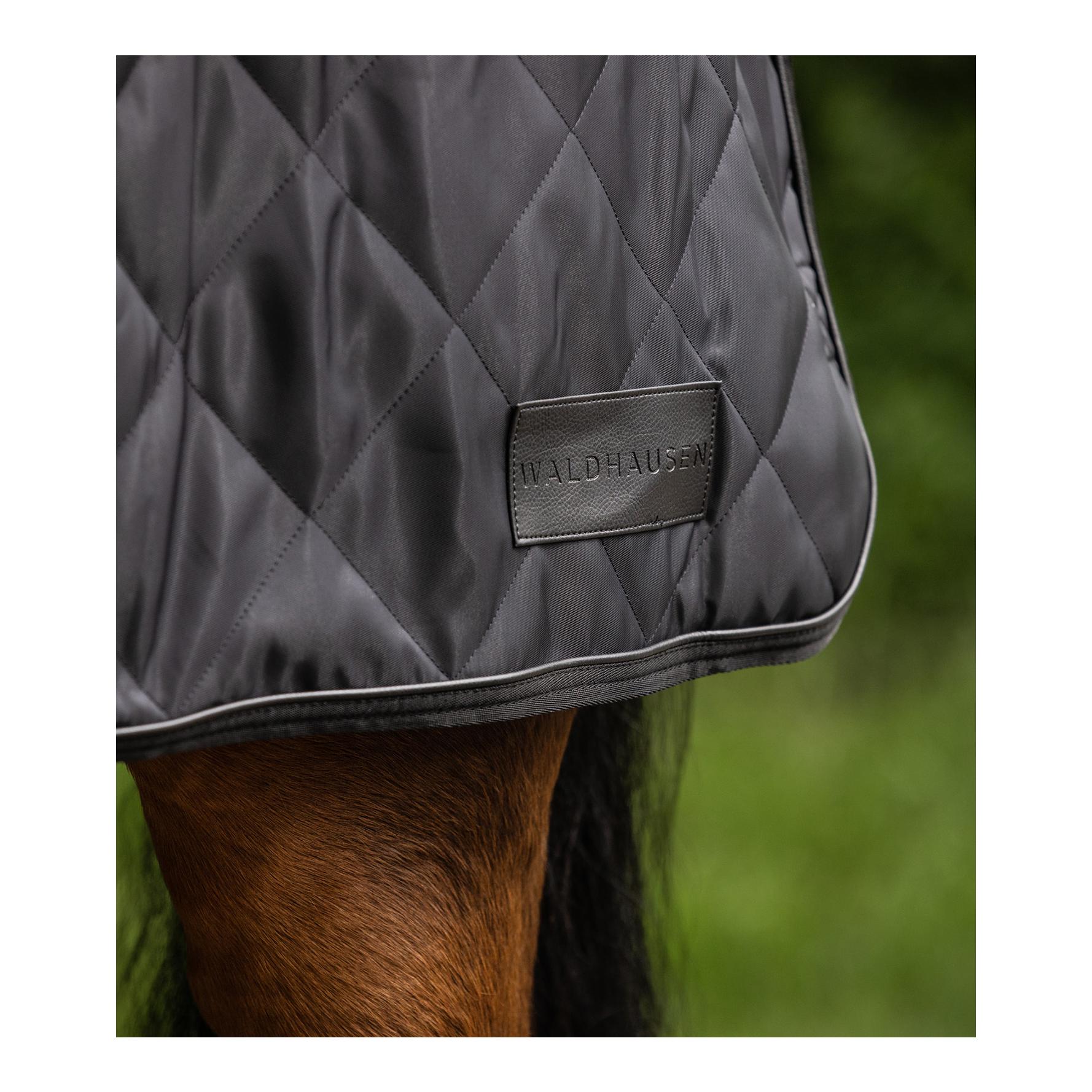 Waldhausen Führmaschinendecke Exclusive 50g