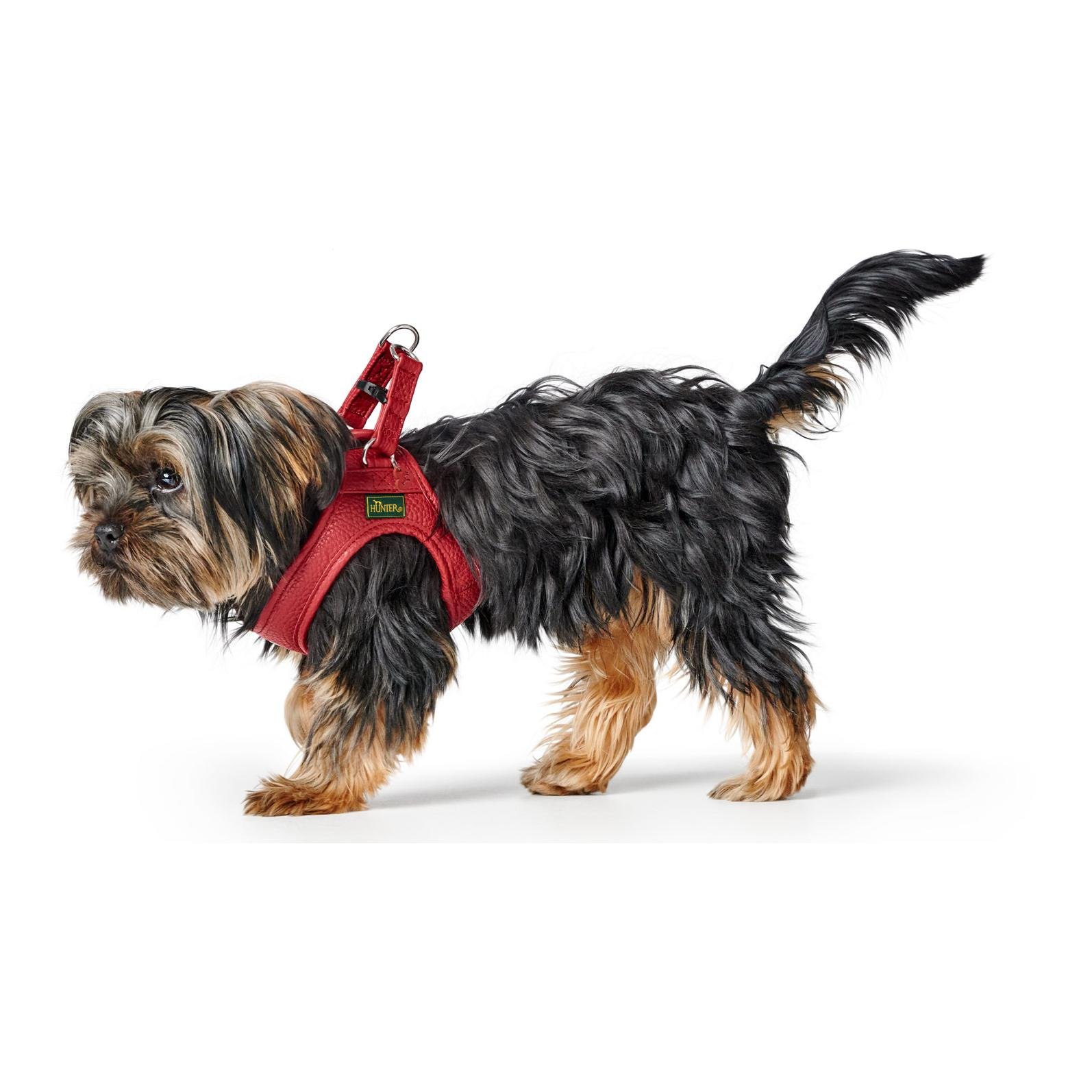 Hunter Hundegeschirr Love 