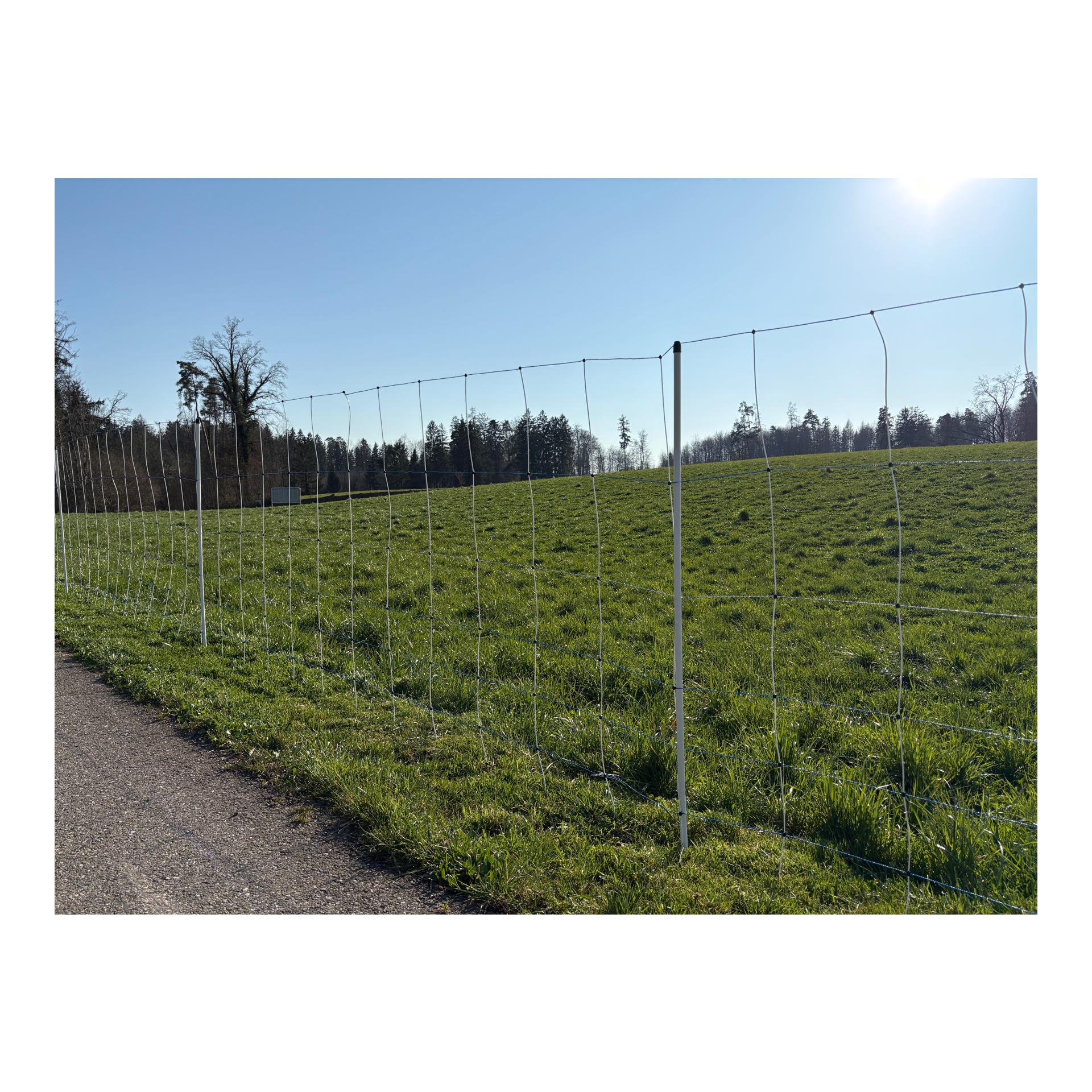 Hauptner Weidenetz Alpin Wild - Doppelspitz