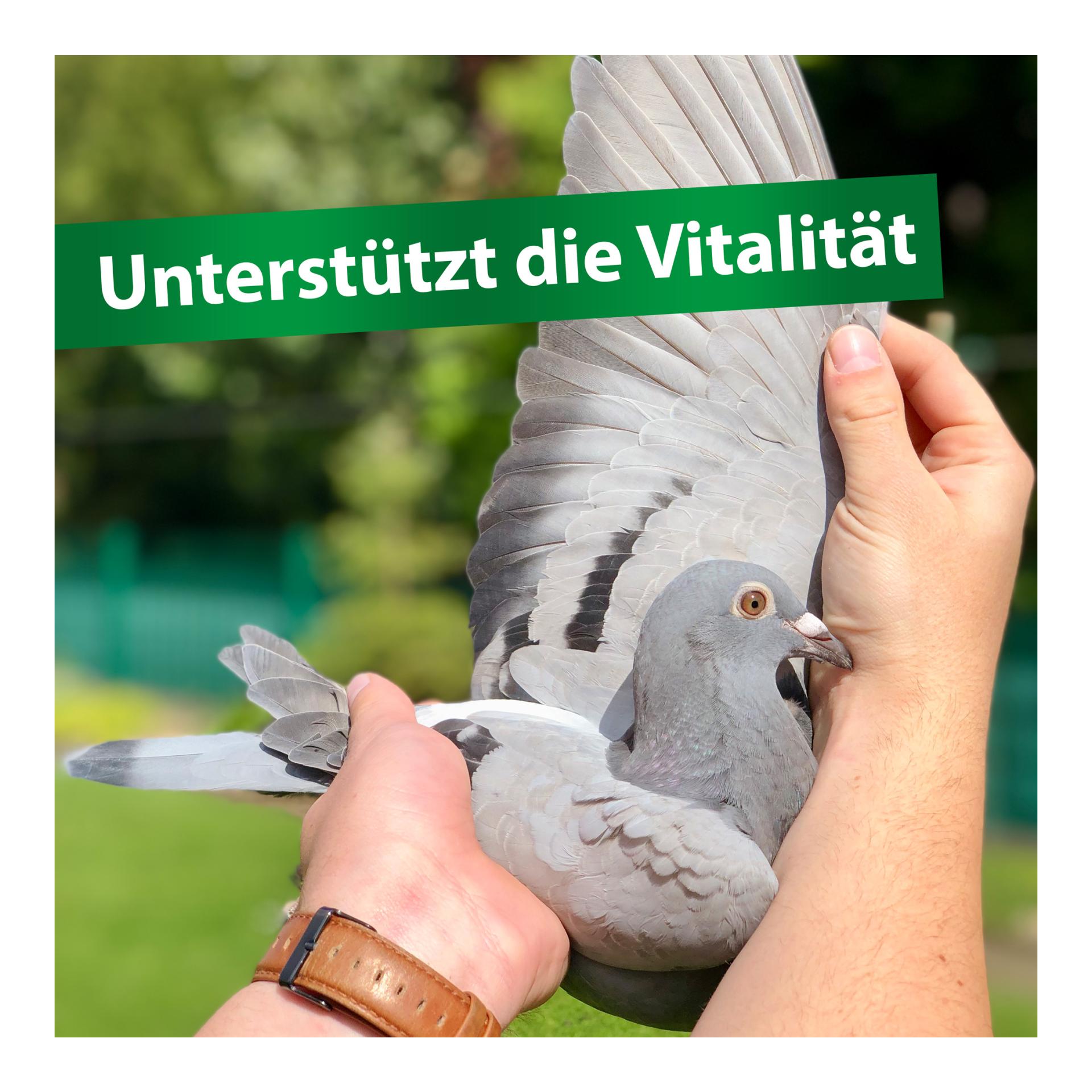 Avidress Plus - Trinkwasserhygiene und Trichomonadenvorbeuge