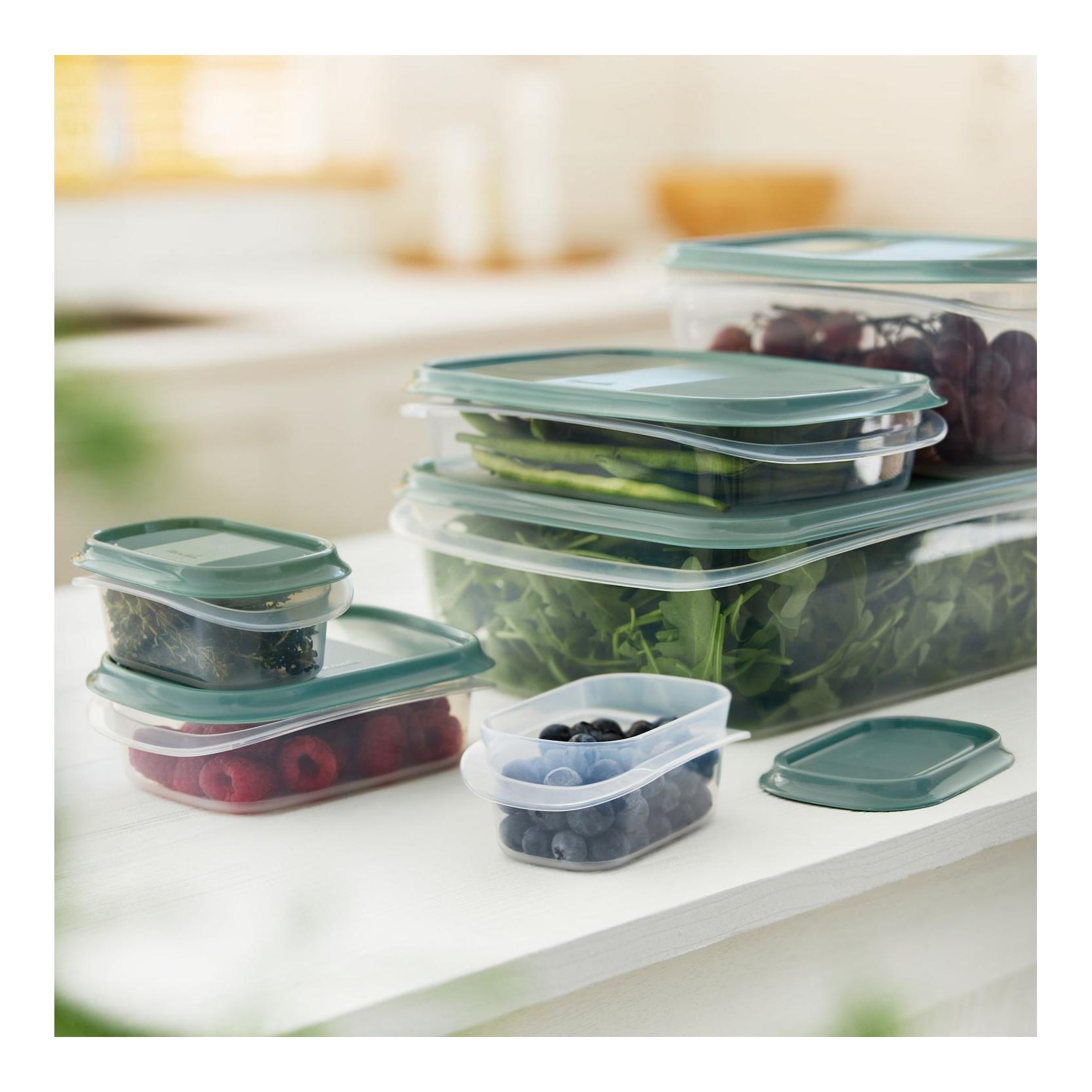 Rotho Lot de 6 boîtes fraîcheur ELEMENTS