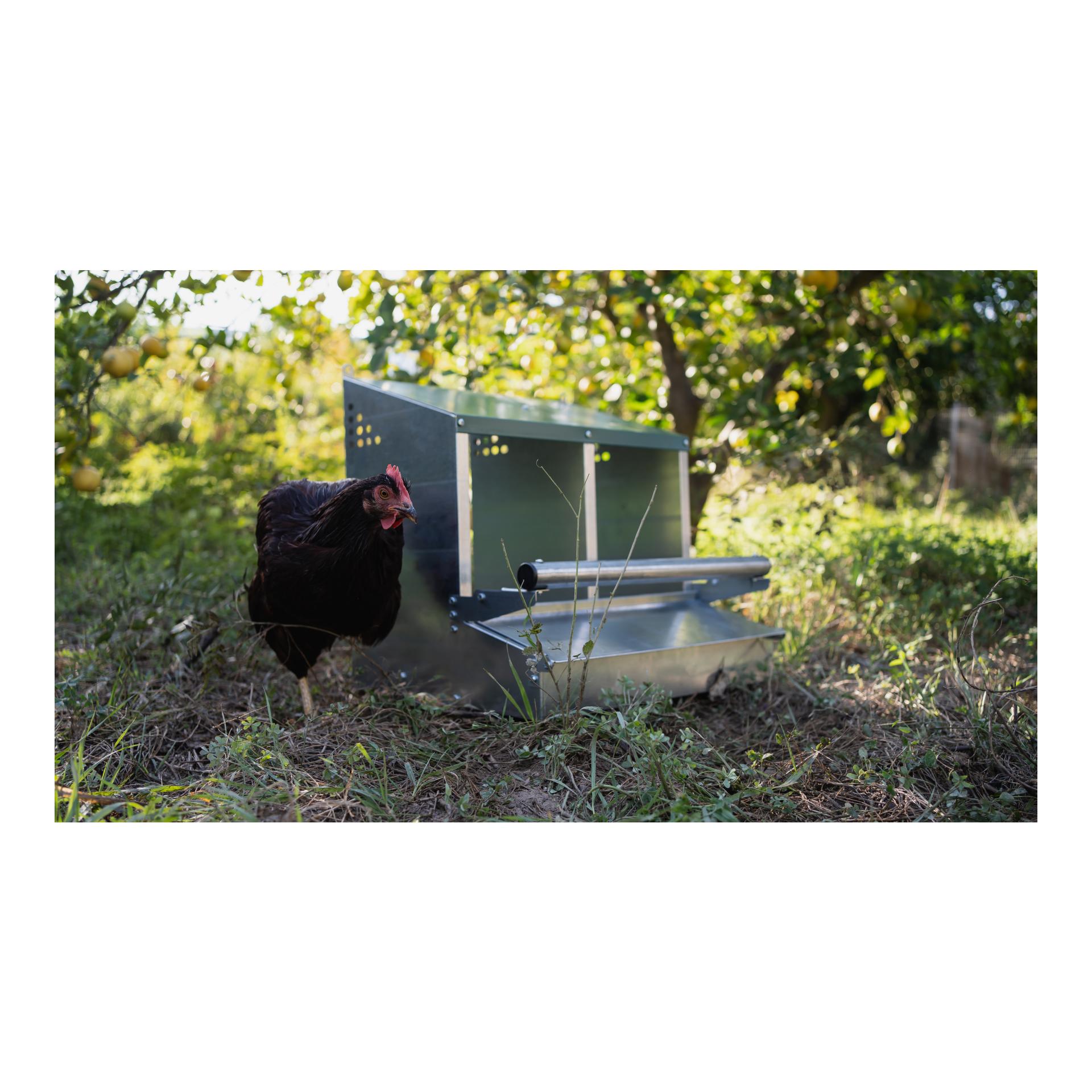 Abroll-Legenest Fenix