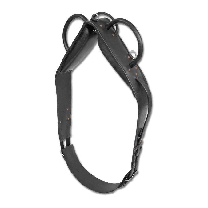 Longier- und Voltigiergurt