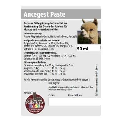 Hauptner Paste gegen Magenübersäuerung