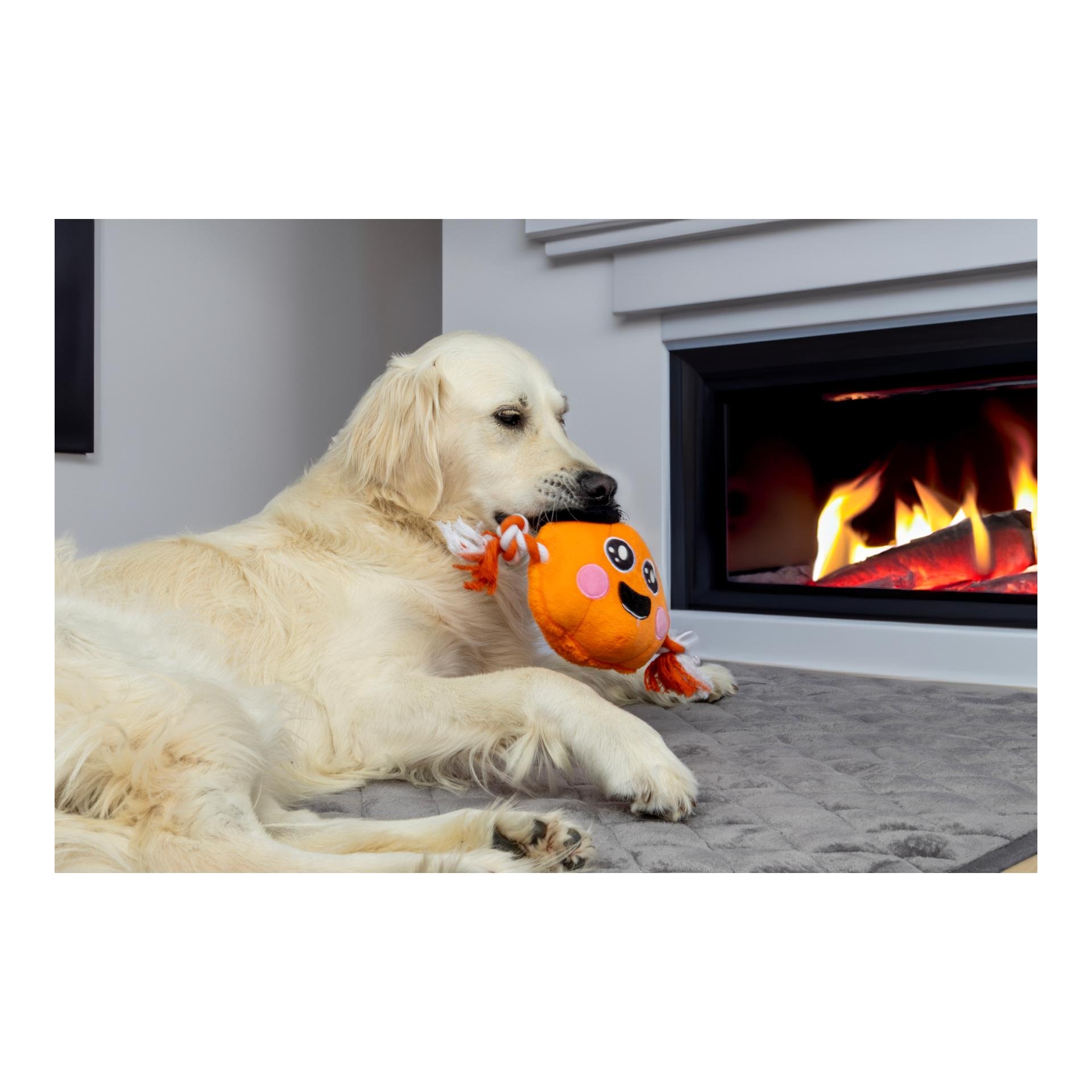 HALLOWEEN THATCHER PUMPKIN