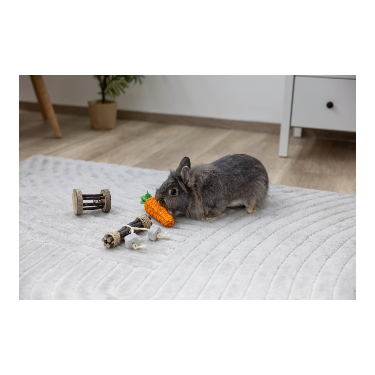 Nagetiere Spielzeug Sisalkarotte 