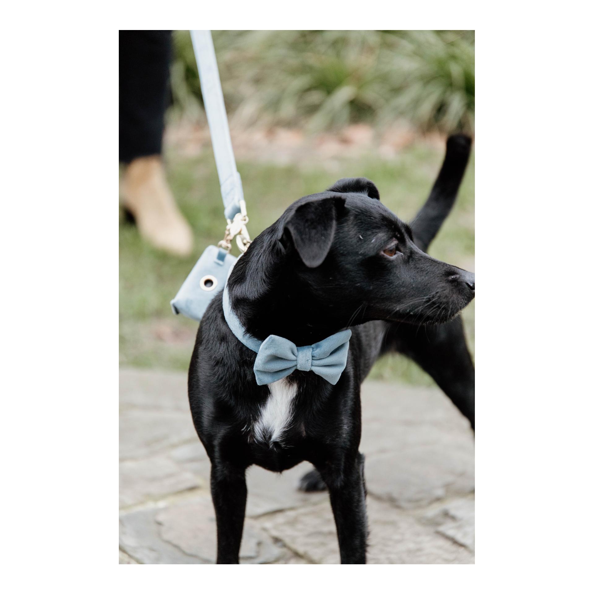 Kotbeutelspender Velvet Square 